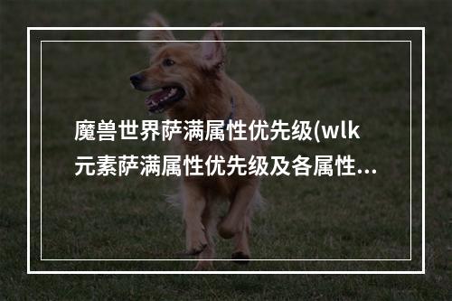 魔兽世界萨满属性优先级(wlk元素萨满属性优先级及各属性简析 )