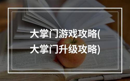 大掌门游戏攻略(大掌门升级攻略)