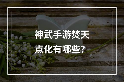 神武手游焚天点化有哪些？