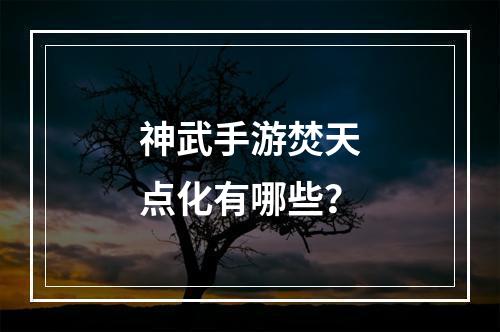 神武手游焚天点化有哪些？