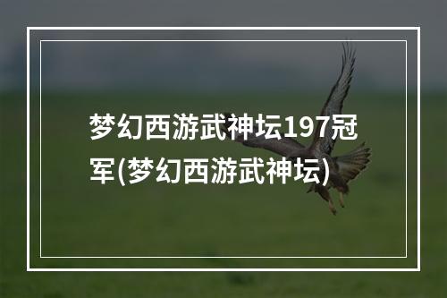 梦幻西游武神坛197冠军(梦幻西游武神坛)