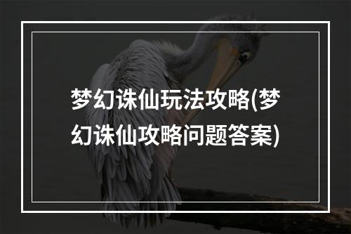 梦幻诛仙玩法攻略(梦幻诛仙攻略问题答案)