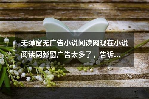 无弹窗无广告小说阅读网现在小说阅读网弹窗广告太多了，告诉我一个无弹窗的小说网(梦想岛中文)