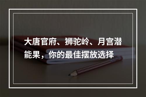 大唐官府、狮驼岭、月宫潜能果，你的最佳摆放选择