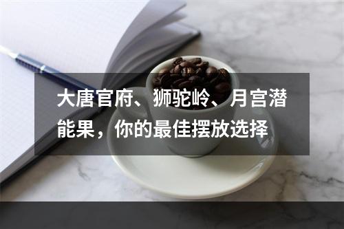 大唐官府、狮驼岭、月宫潜能果，你的最佳摆放选择