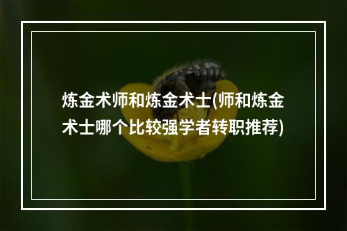 炼金术师和炼金术士(师和炼金术士哪个比较强学者转职推荐)