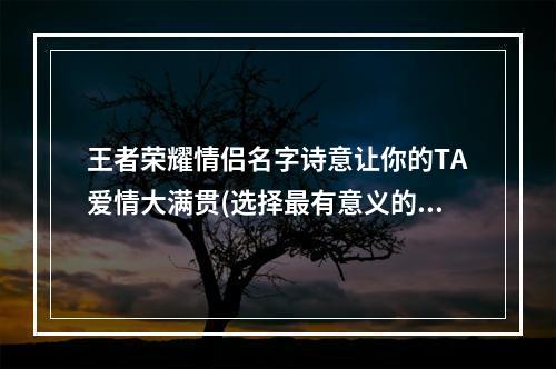 王者荣耀情侣名字诗意让你的TA爱情大满贯(选择最有意义的名字)