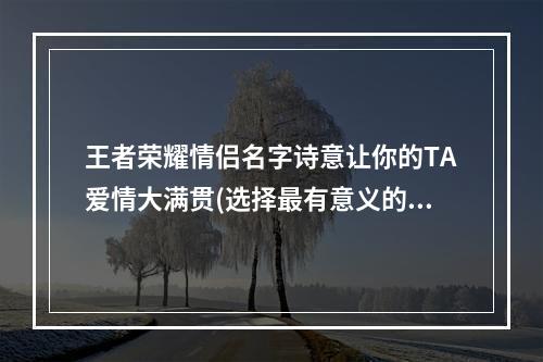 王者荣耀情侣名字诗意让你的TA爱情大满贯(选择最有意义的名字)