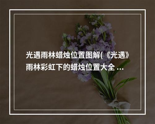 光遇雨林蜡烛位置图解(《光遇》雨林彩虹下的蜡烛位置大全 雨林彩虹下的蜡烛在)