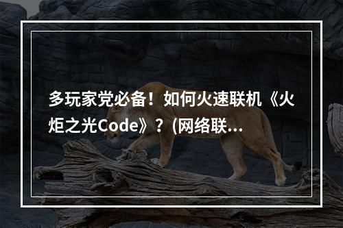 多玩家党必备！如何火速联机《火炬之光Code》？(网络联机攻略)