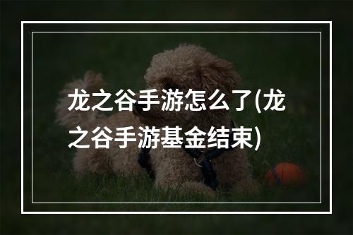 龙之谷手游怎么了(龙之谷手游基金结束)