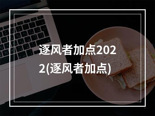 逐风者加点2022(逐风者加点)