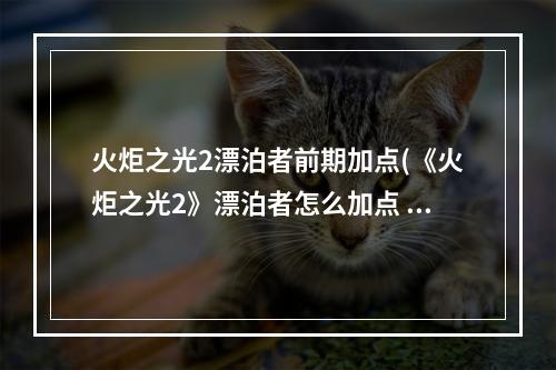 火炬之光2漂泊者前期加点(《火炬之光2》漂泊者怎么加点 新手一击300W攻略)