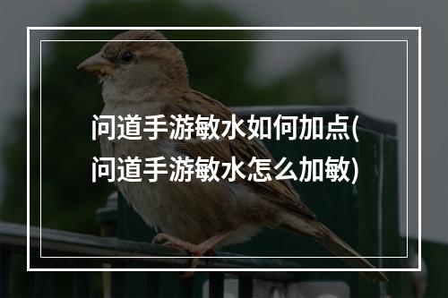 问道手游敏水如何加点(问道手游敏水怎么加敏)