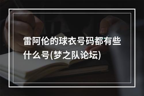 雷阿伦的球衣号码都有些什么号(梦之队论坛)