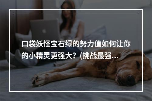 口袋妖怪宝石绿的努力值如何让你的小精灵更强大？(挑战最强大的对手努力值在口袋妖怪宝石绿的重要性)