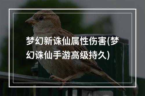 梦幻新诛仙属性伤害(梦幻诛仙手游高级持久)