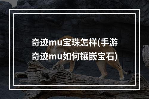 奇迹mu宝珠怎样(手游奇迹mu如何镶嵌宝石)