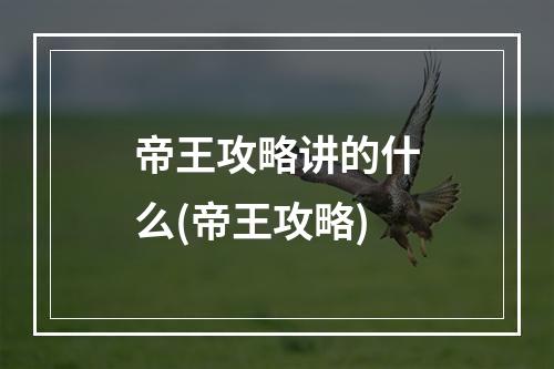 帝王攻略讲的什么(帝王攻略)