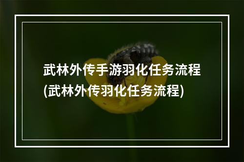 武林外传手游羽化任务流程(武林外传羽化任务流程)