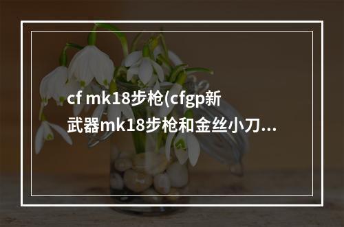 cf mk18步枪(cfgp新武器mk18步枪和金丝小刀图文介绍)