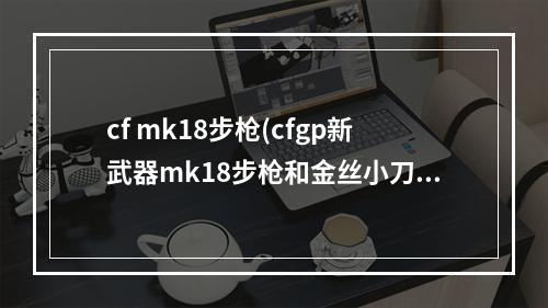 cf mk18步枪(cfgp新武器mk18步枪和金丝小刀图文介绍)