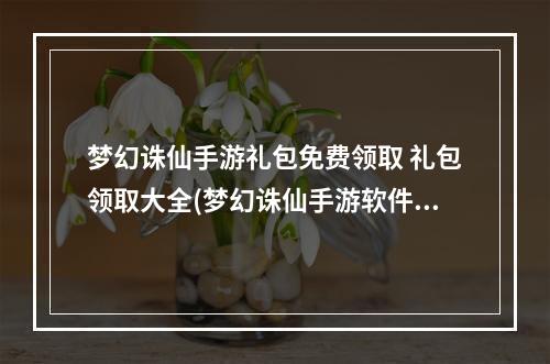 梦幻诛仙手游礼包免费领取 礼包领取大全(梦幻诛仙手游软件礼包)