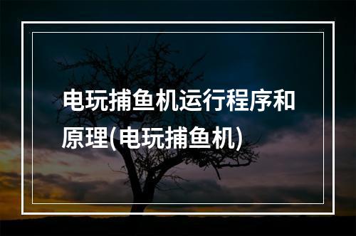 电玩捕鱼机运行程序和原理(电玩捕鱼机)