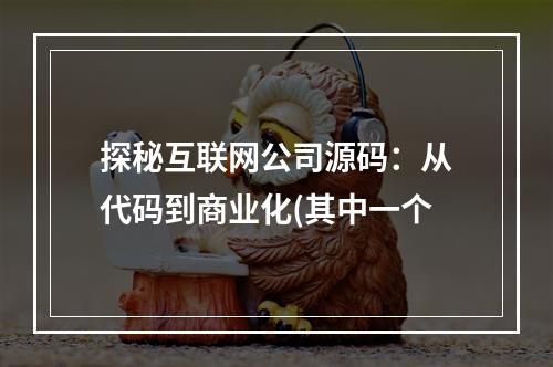 探秘互联网公司源码：从代码到商业化(其中一个