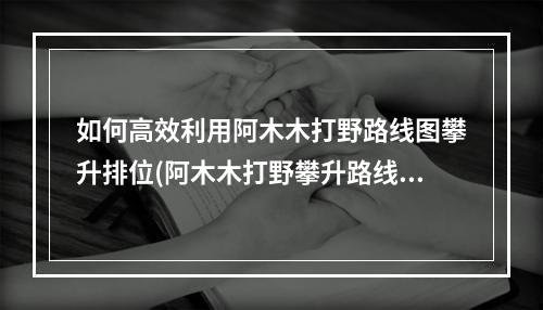 如何高效利用阿木木打野路线图攀升排位(阿木木打野攀升路线详解)(如何在阿木木打野路线图中占领优势(阿木木打野局势分析))