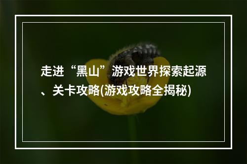 走进“黑山”游戏世界探索起源、关卡攻略(游戏攻略全揭秘)