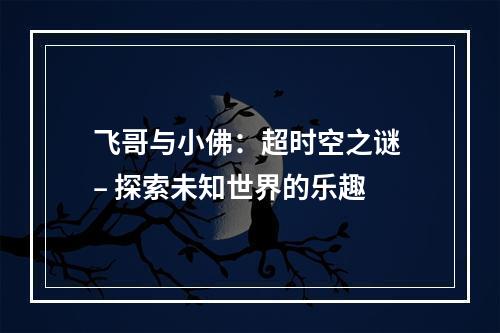 飞哥与小佛：超时空之谜 – 探索未知世界的乐趣