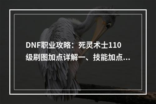 DNF职业攻略：死灵术士110级刷图加点详解一、技能加点死灵术士是一个以毒伤敌、控制局面的职业。在110级的技能加点中，我们需要优先提升核心技能，如死亡陷阱、地