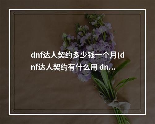 dnf达人契约多少钱一个月(dnf达人契约有什么用 dnf达人契约怎么用 契约达人)