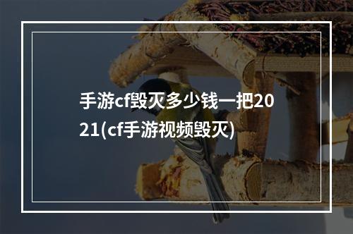 手游cf毁灭多少钱一把2021(cf手游视频毁灭)