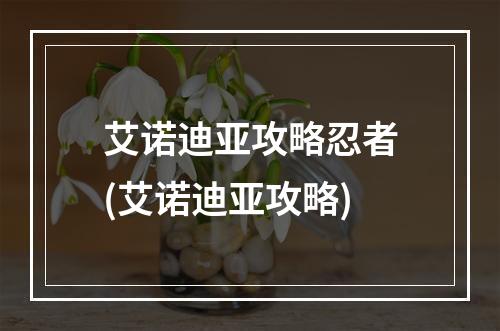 艾诺迪亚攻略忍者(艾诺迪亚攻略)