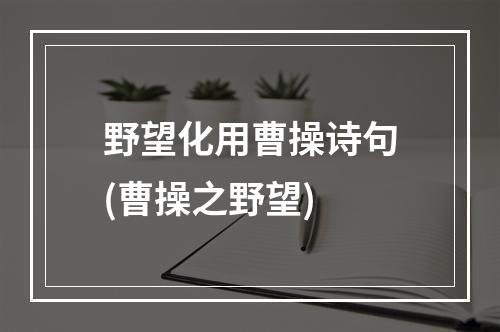 野望化用曹操诗句(曹操之野望)