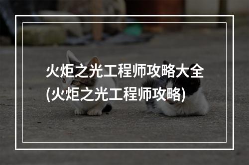 火炬之光工程师攻略大全(火炬之光工程师攻略)