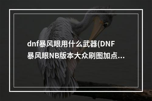 dnf暴风眼用什么武器(DNF暴风眼NB版本大众刷图加点技巧)