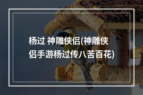 杨过 神雕侠侣(神雕侠侣手游杨过传八苦百花)