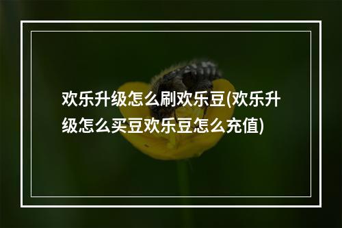 欢乐升级怎么刷欢乐豆(欢乐升级怎么买豆欢乐豆怎么充值)