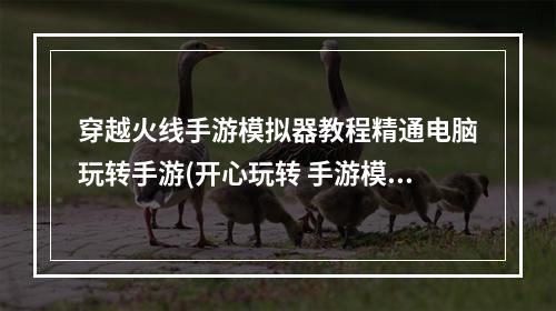 穿越火线手游模拟器教程精通电脑玩转手游(开心玩转 手游模拟)