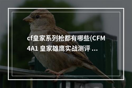 cf皇家系列枪都有哪些(CFM4A1 皇家雄鹰实战测评 CFM4A1 皇家雄鹰怎么样)