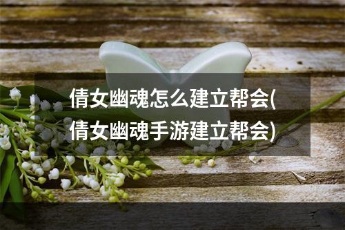 倩女幽魂怎么建立帮会(倩女幽魂手游建立帮会)