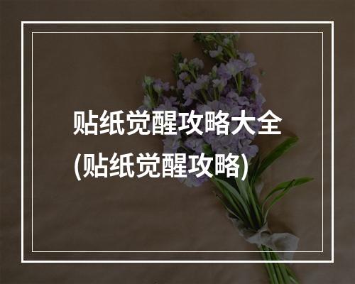 贴纸觉醒攻略大全(贴纸觉醒攻略)