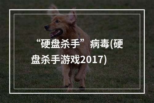 “硬盘杀手”病毒(硬盘杀手游戏2017)