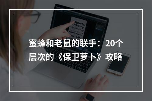 蜜蜂和老鼠的联手：20个层次的《保卫萝卜》攻略