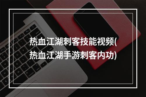 热血江湖刺客技能视频(热血江湖手游刺客内功)