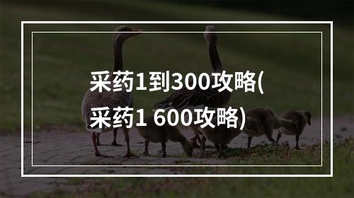 采药1到300攻略(采药1 600攻略)