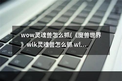 wow灵魂兽怎么抓(《魔兽世界》wlk灵魂兽怎么抓 wlk灵魂兽获取方法  )